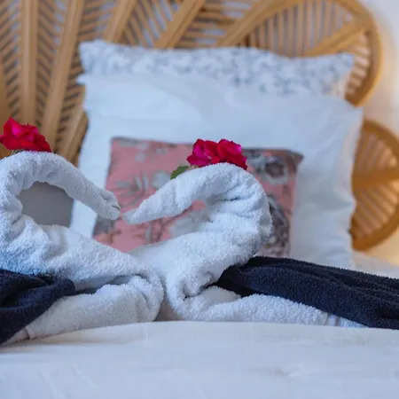 Le Petit Clos - Jardin Privatif - Proche Du Centre *